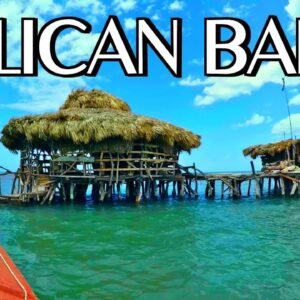 Pelican Bar