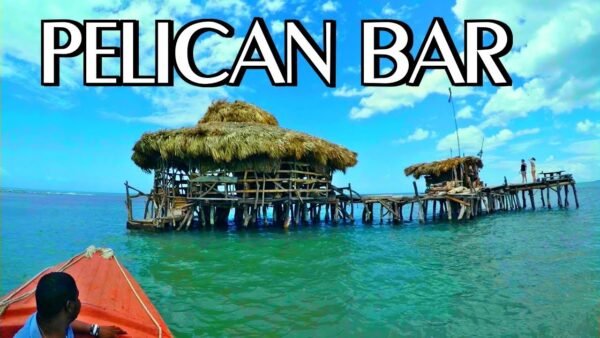 Pelican Bar