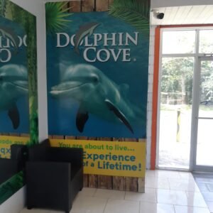 Dolphin Cove Ocho Rios